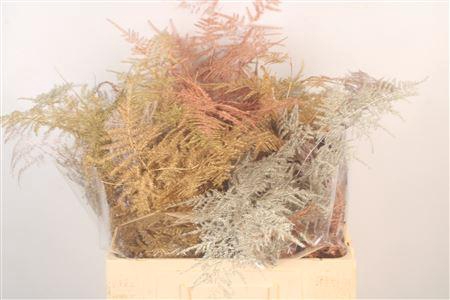 <h4>Asp Middel Getopt Mix</h4>