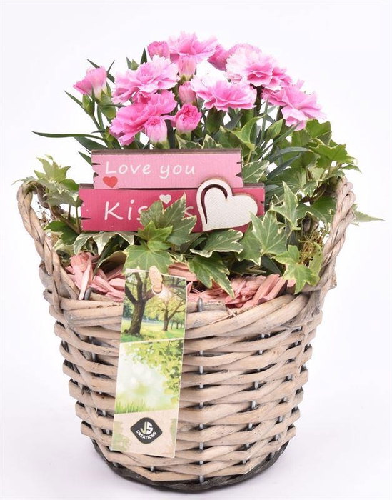 <h4>Wilg mand grijs met oor 14cm</h4>