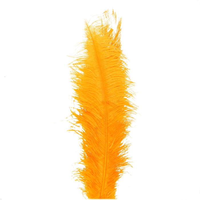 <h4>Feathers Ostrich 55cm x5</h4>