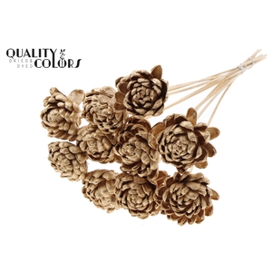 Shola New Beauty Rose Ø8cm on stem Antique Gold