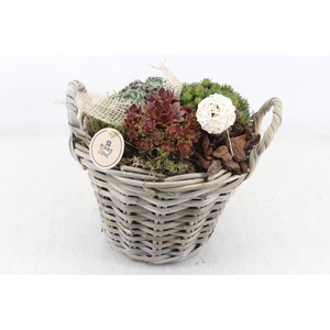 arr4 Semp PL - Kubumand hoog x2