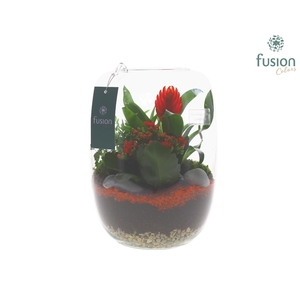 Green Bottle Isabella Large met arrangement