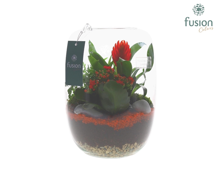 <h4>Green Bottle Isabella Large met arrangement</h4>