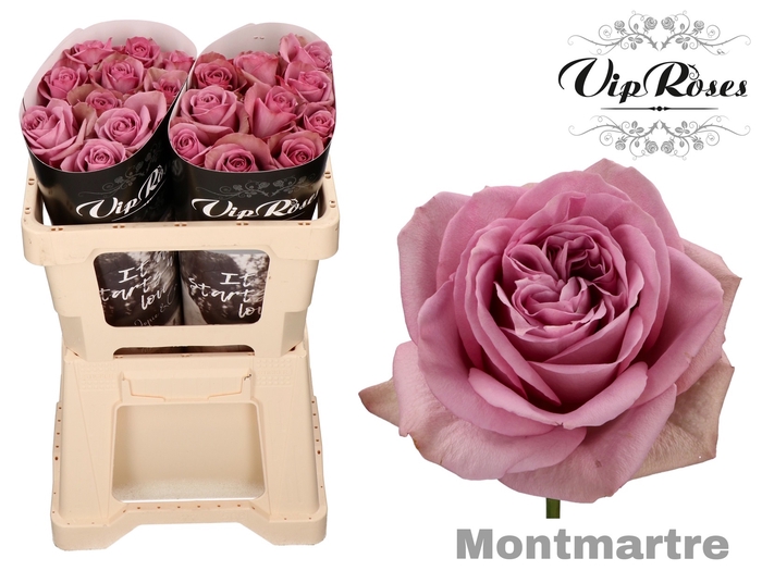 R GR MONT MARTRE+ x 20