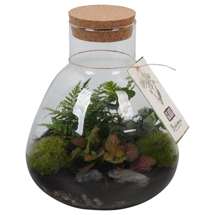 <h4>PTGIG2179 Arrangement Greens in glass in glazen terrarium</h4>