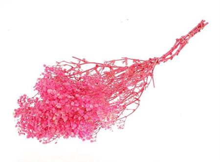 Pres Gyps Bq Bleached Cerise Slv 240gr