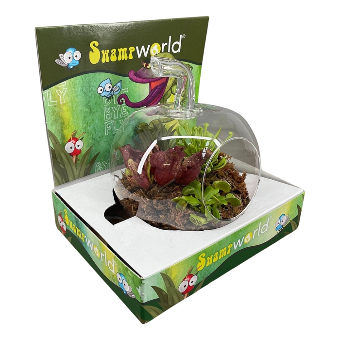 <h4>VLEESETENDE PLANTEN</h4>