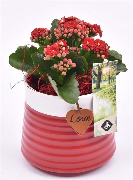 <h4>Keramiek met love hanger 11.5CM</h4>