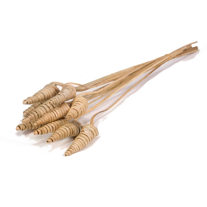 <h4>Cane Cone 10pc Natural</h4>