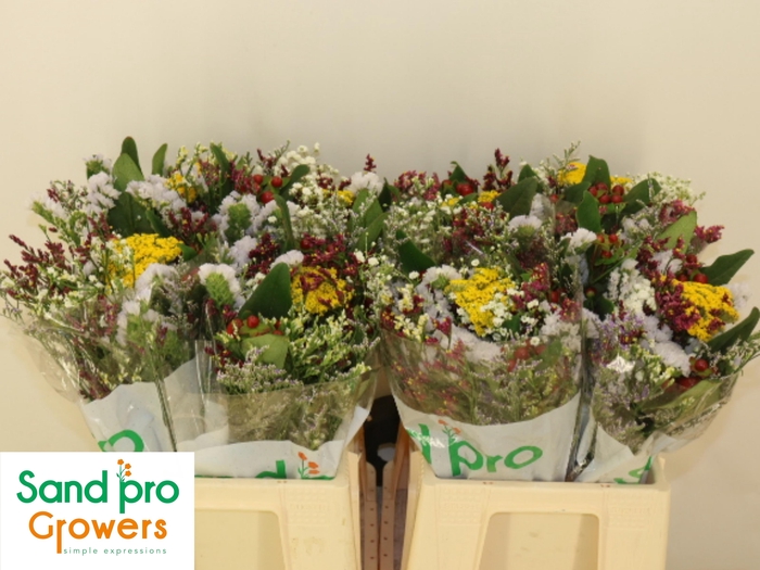 <h4>GEM ZOMERBOEKET</h4>