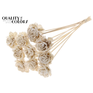 Shola Dahlia 6cm on stem Wax White