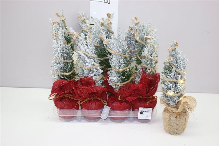 <h4>Chamaecyparis La Ellwoodii Snow In Jute Mix Met Le</h4>