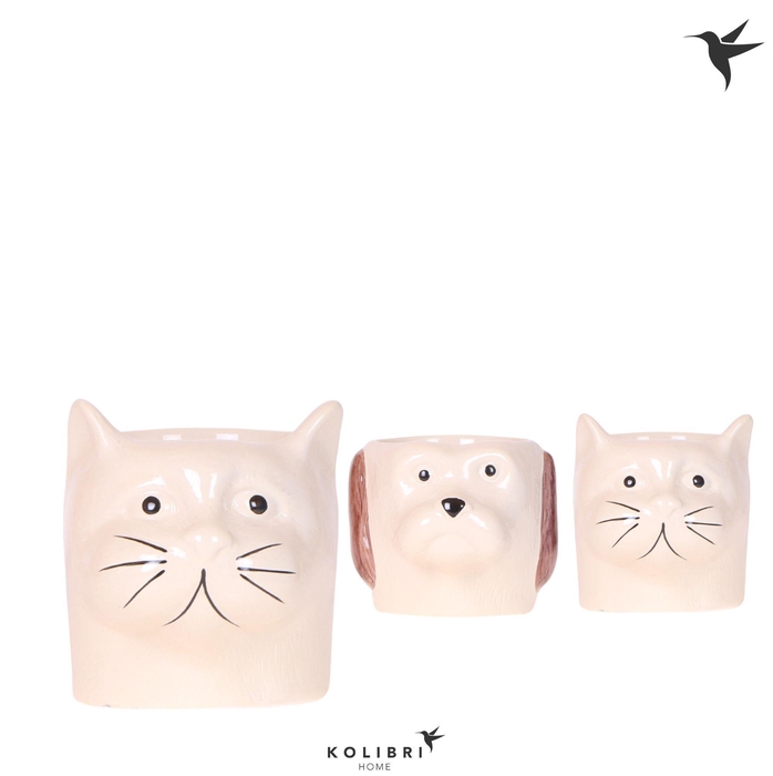 <h4>Kolibri Home Cat & Dog pot mix</h4>