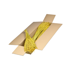 Rice Sb Yellow