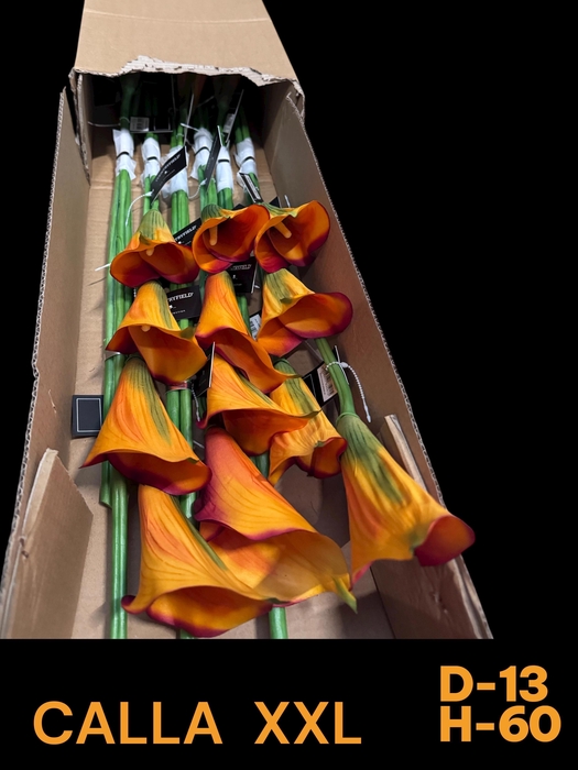 <h4>HUIS EN TUINDECO H%</h4>