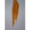 GESTABILISEERD AMARANTHUS (H) APRICOT