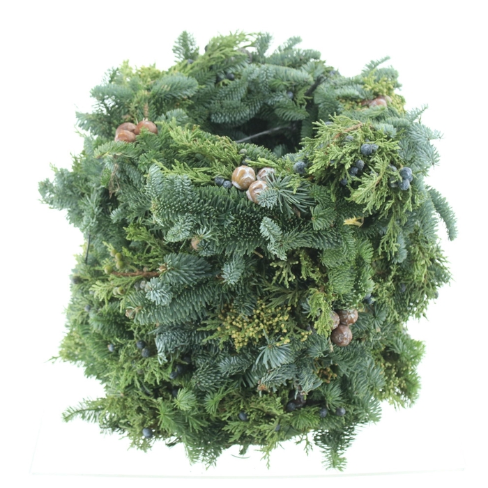 <h4>NOBILIS-KRANS H%</h4>