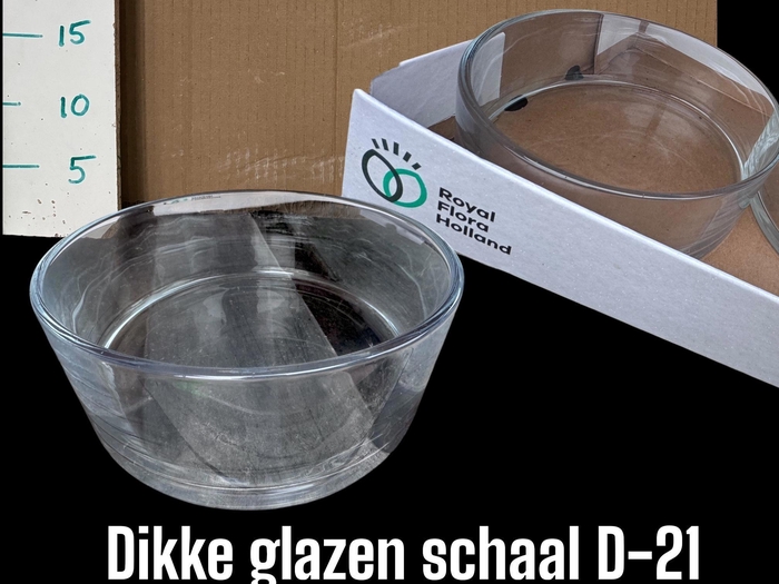 <h4>GLAZEN VAZEN H%</h4>