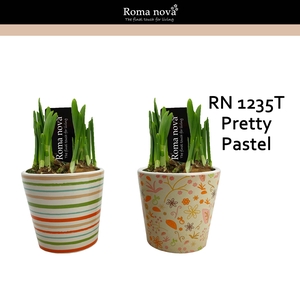 Narcis Rom 1235T Pretty Pastel