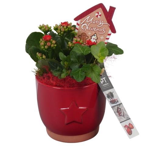 <h4>PTCHR7216 Arrangementen Kerst</h4>
