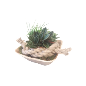 PCQ14MIX PalmCup Squared mini gr.mix 100% Biodegradable