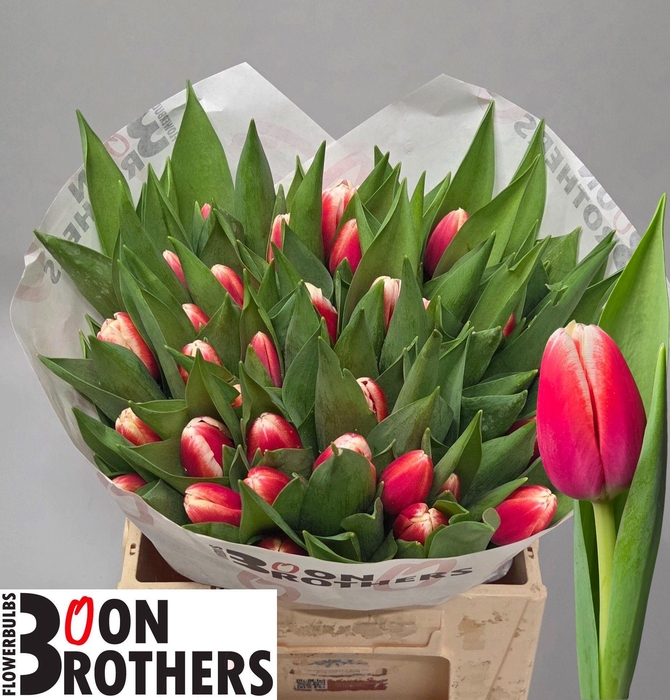 <h4>TU EN OUTFIT</h4>