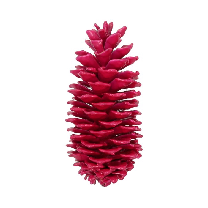 Pinecone Sugar Wax Slv L35