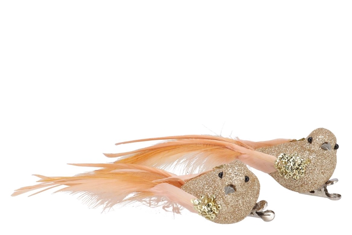 Deco Shine Bird Clip Cozy Champagne 16cm Per 2