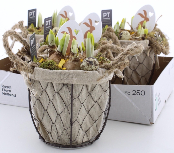 <h4>ARR N TETE A TETE</h4>