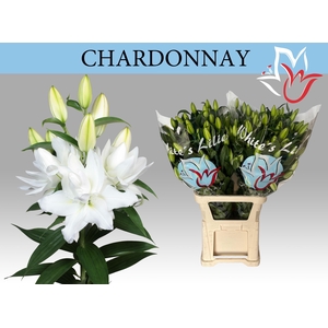LI OR DU CHARDONNAY