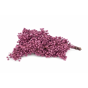 Schinus M Pt Metallic Pink Bunch