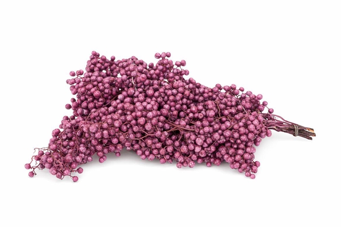 <h4>Schinus M Pt Metallic Pink Bunch</h4>