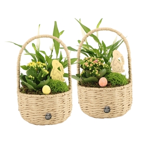 70874: Easter arrangement
