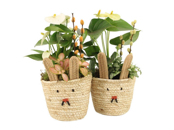 <h4>70872: Easter arrangement</h4>