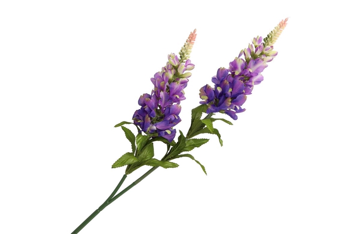 <h4>Silk Lavendel 2x Lila 90cm Nm</h4>