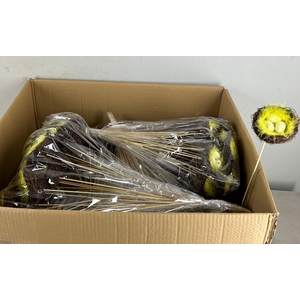 Stick Nest Salim + Eggs Yellow