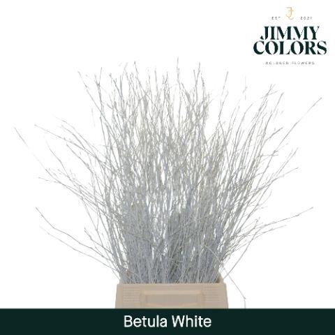 <h4>Betula L70 White</h4>