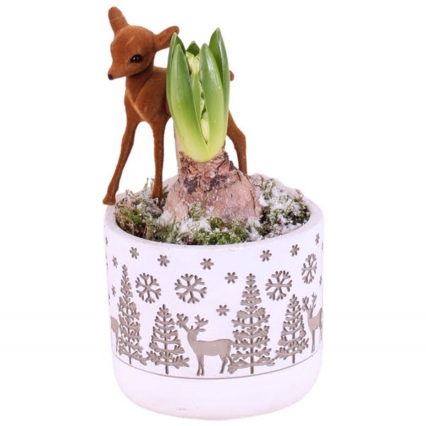 <h4>Christmas Arr.Hyacint Ceramic Pot round landscape white ø11cm1PP</h4>