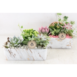 arr2 PL - Ker. marble - roze/wit