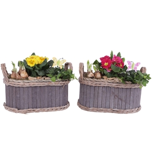 Early Spring Arr. Outdoor Wooden Pot Waterhyacinth Rim Ø29cm 3PP
