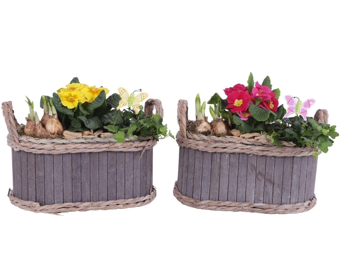<h4>Early Spring Arr. Outdoor Wooden Pot Waterhyacinth Rim Ø29cm 3PP</h4>