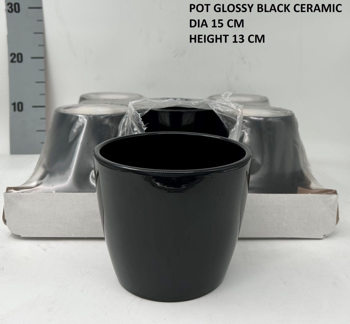 <h4>KERAMISCHE POT H%</h4>