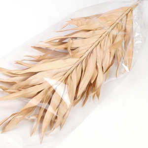 DF Fire Leaf L.Brown 110cm 2pc