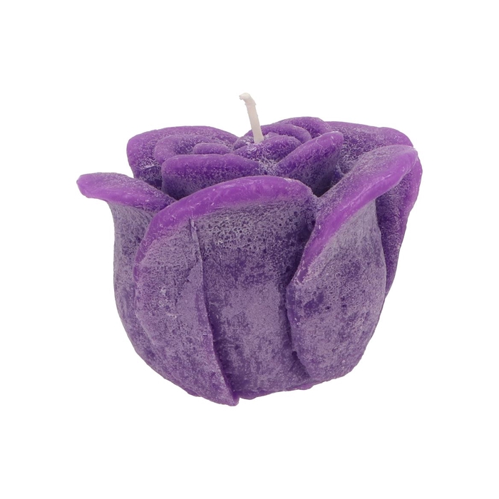 <h4>Candle Roos Purple 14x12cm</h4>