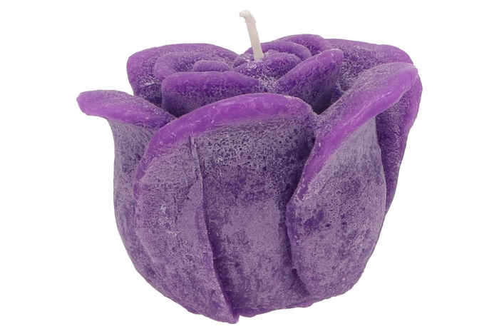 Candle Roos Purple 14x12cm