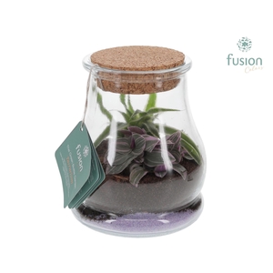 Glas Druppel met Terrarium Arrangement