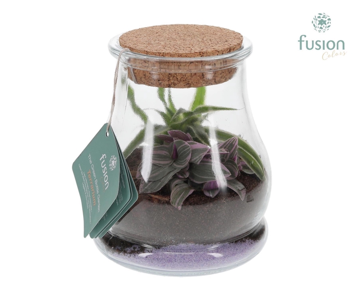<h4>Glas Druppel met Terrarium Arrangement</h4>