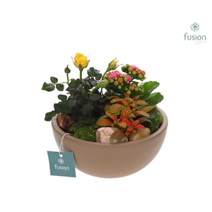 Schaal keramiek Moon Medium beige met arrangement