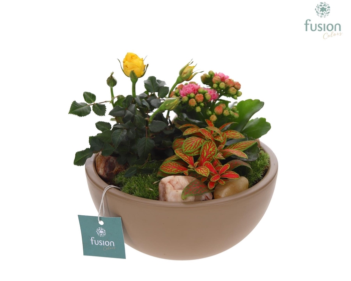 <h4>Schaal keramiek Moon Medium beige met arrangement</h4>