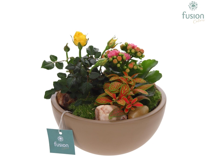 <h4>Schaal keramiek Moon Medium beige met arrangement</h4>